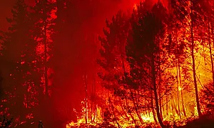 Пожарите във Франция като политическо оръжие – крайната десница атакува Макрон
