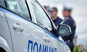 Полицията откри 100 декара незаконен град край Варна