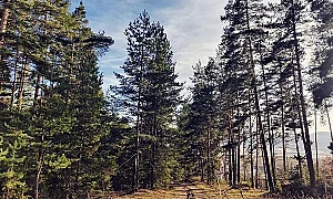 Промяна в прогнозата – очаква ни топъл понеделник и слънчева Светла седмица