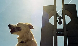 Слънчева и топла сряда, температури до 21°