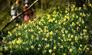 Предимно слънчева събота