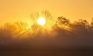 Слънчево и още по-топло днес, температурите стигат 38°