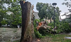 Мощна буря удари София: Порой, градушка, дърво падна върху майка и две деца