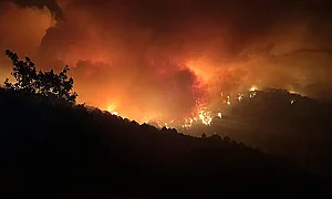 Не само 112: Какво да правите, ако попаднете близо до пожар?