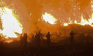 101 пожара за 24 часа: Най-много огнища са пламнали в сухи треви