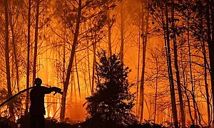 Два пожара горят в планина Славянка край Сандански