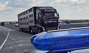 Акция на „Тракия“: Всеки втори проверен камион с опасни гуми