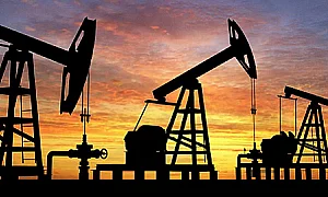 Канада печели милиони на ден от кризата с горивата