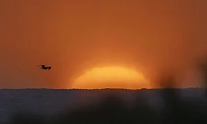 Жълт код за жега в цяла България; температури до 39°