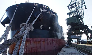 Първият аржентински слънчоглед пристигна: Печелим или губим от сделката с Меркосур