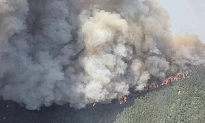 Голям пожар в Тоскана евакуира над три хиляди души