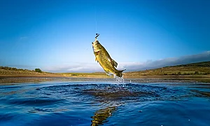 Влезе в сила забраната за риболов заради размножителния период на рибите