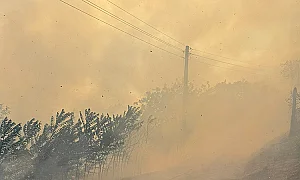 Голям пожар в Тополовградско, няма опасност за селата