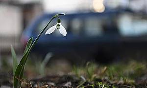 Времето днес: Ветровит, но топъл петък