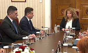 ДБ и ПП при президента разделени, но със сходни послания