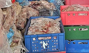 Откриха втора незаконна кланица в Дебелец, иззеха над 600 кг месо