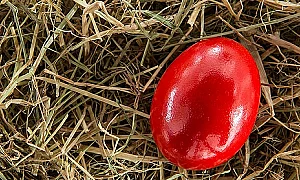 Благодат в Бачково: Доброволци боядисаха 2026 червени яйца за здраве и мир