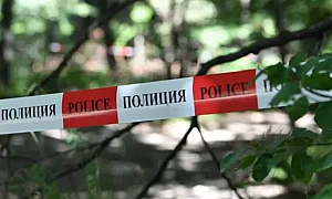 Експертиза: Две мечки са убили мъжа, открит мъртъв на Витоша