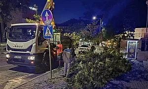 Бурята събори дървета и блокира пътища край Петрич, повреди автомобили
