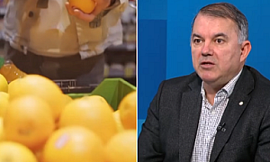 Спекулата ще започне, когато се фиксират цени и надценки