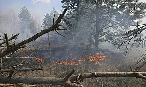 Пожар в Чернобил след свален руски дрон, украински атаки срещу Белгородска област