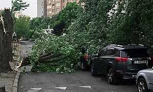 Бурите нанесоха щети в редица райони в страната, села останаха без ток