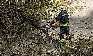 Силната буря затвори пътя Пещера – Батак