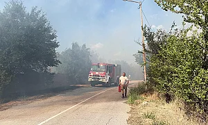 Прокуратурата влиза в складовете на „Емко“ в четвъртък, разследва евентуален палеж