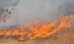 Пожари в Димитровград и Любимец гасят огнеборци, няма опасност за населението