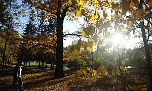 Слънчево начало на седмицата