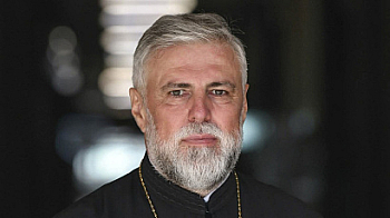 Глупостта не е дефект на интелекта