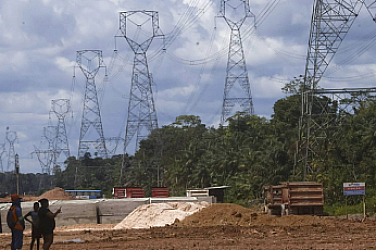 Отсякоха 100 000 дървета за магистрала