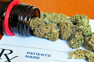 В Босна и Херцеговина легализират медицинския канабис