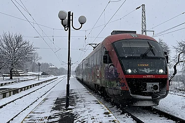 Влакoвете между Мирково и Столник спрени заради паднало дърво
