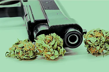 Европол разби престъпна мрежа „оръжия срещу канабис“; арести в България, Гърция и Испания