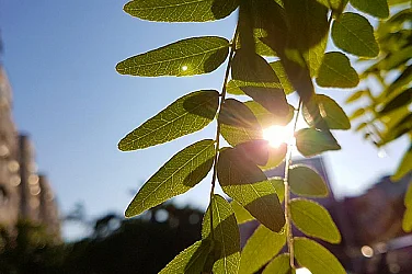 Слънчева неделя: Температури до 18°, от вторник застудява