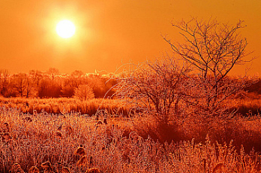 Ноември започва със слънце, температури 18-25 градуса