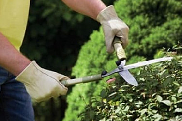 Професиите градинар, музикант, танцьор и пилот са непривлекателни за българина