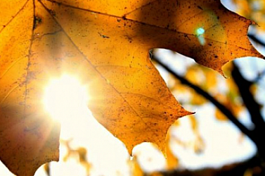 Нова седмица с амплитуди от 0° до 21° – слънце, мъгли и временни дъждове