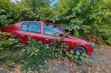 МВР ще дерегистрира коли на починали хора, ако не са прехвърлени до 6 месеца след смъртта