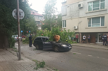 Силни летни бури над страната: щети, прекъснат ток и паднали дървета