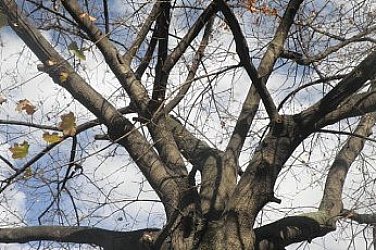 Облачен понеделник, температури 7° и 12°. Иде ли сняг?