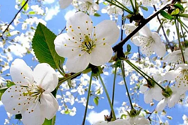 Слънце и лек полъх: Празничната неделя ни подарява перфектно време