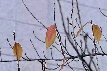 Слънчева неделя, облаци на североизток