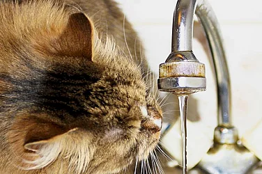 Нова цел на руските удари в Украйна – водоснабдяването на селищата