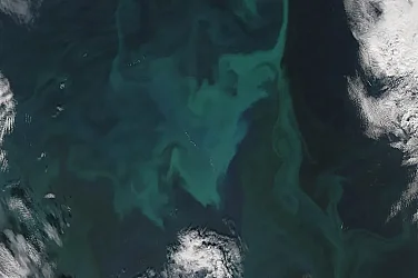 Гълфстрийм се измества на север, заплашва Европа с климатична катастрофа