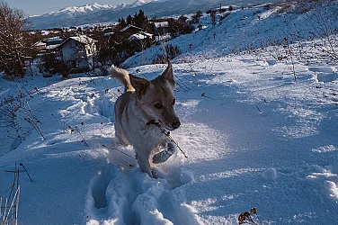 Новата седмица идва с минимални температури между -12° и -7°