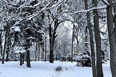 Сняг за Нова година