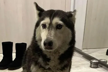 Случаят „Мая“: Парична гаранция от 5000 лв. за д-р Цоневски