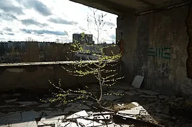 Чернобил през 2026 г.: Опасен за хората, но рай за дивата природа